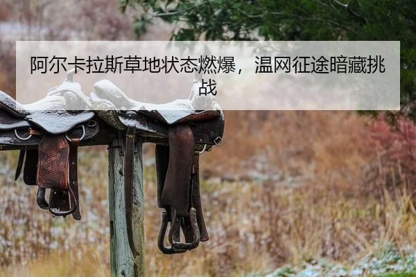 阿尔卡拉斯草地状态燃爆，温网征途暗藏挑战