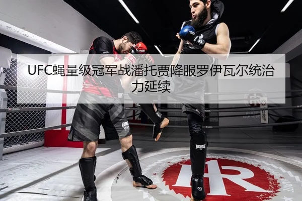 UFC蝇量级冠军战潘托贾降服罗伊瓦尔统治力延续