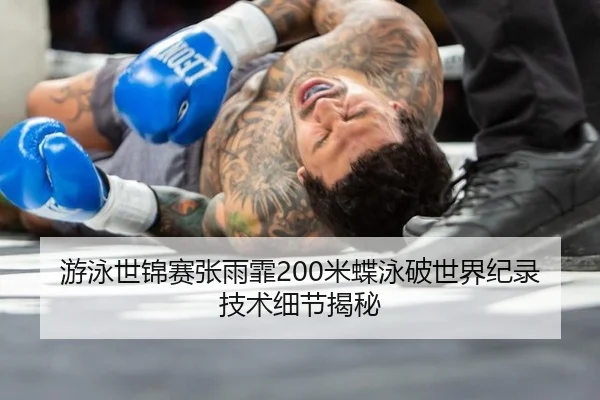 you-yong-shi-jin-sai-zhang-yu-fei-mi-die-yong-po-shi-jie-ji-lu-ji-shu-xi-jie-jie-mi-2-521.jpg