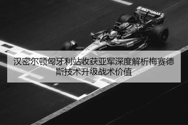 han-mi-er-dun-xiong-ya-li-zhan-shou-huo-ya-jun-shen-du-jie-xi-mei-sai-de-si-ji-shu-sheng-ji-zhan-shu-jia-zhi-3-310.jpg